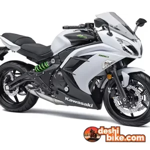 Kawasaki Ninja ZX10-R