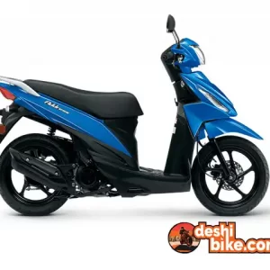 Suzuki Address Playful