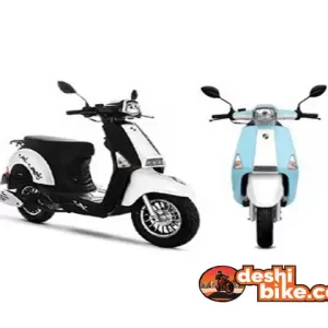 Znen Classic 50 Price In Bangladesh